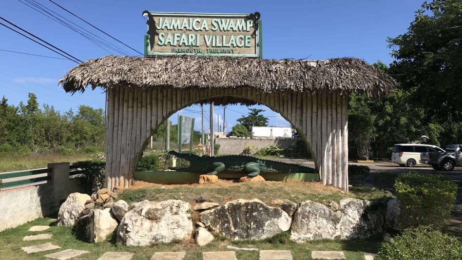 Jamaica Swamp Safari Village