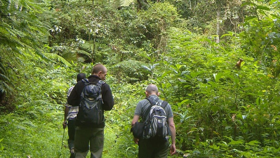 adventure from Iringa, Mpanga Kipengere to Matema beach