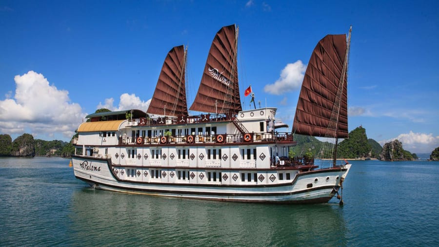 Paloma Cruise
