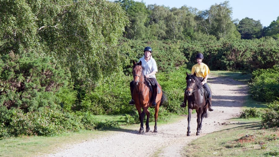 Horseback Riding
