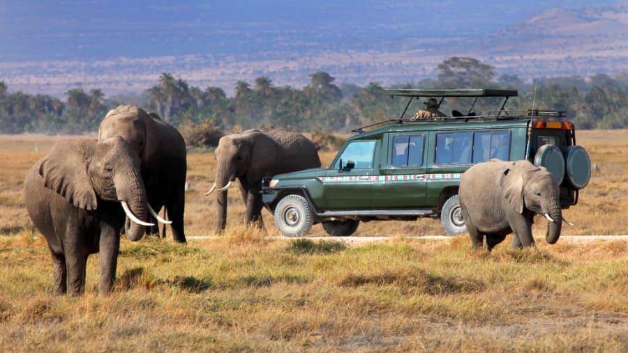 Game Drive in Masai Mara, Kenya
