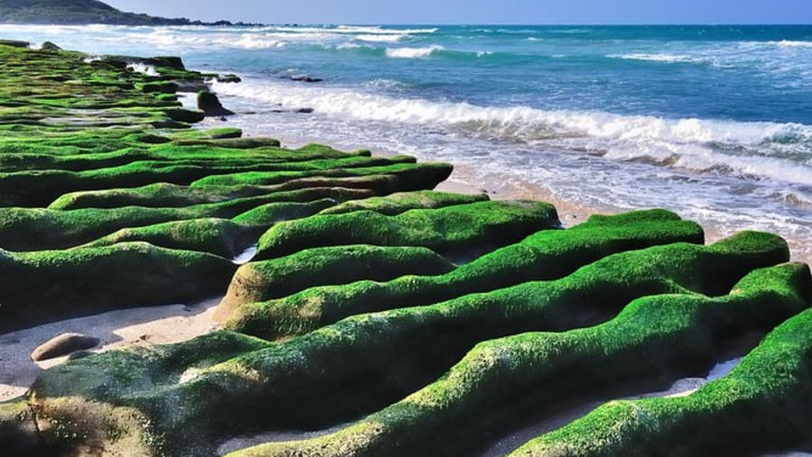 Laomei Green Reef