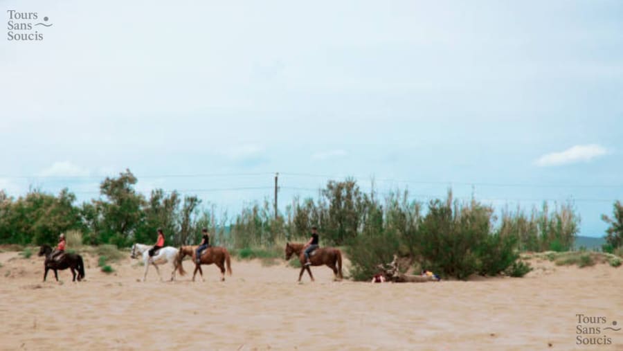 Djerba Horse-Riding