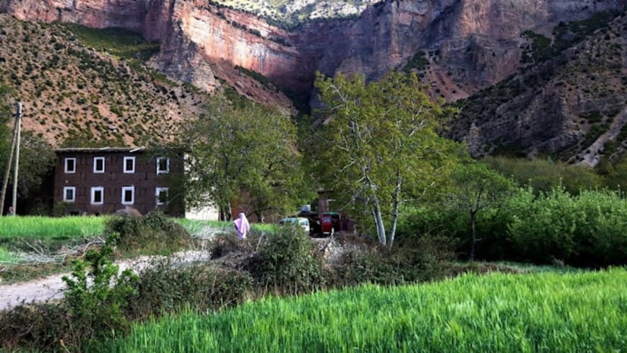 Berber Family