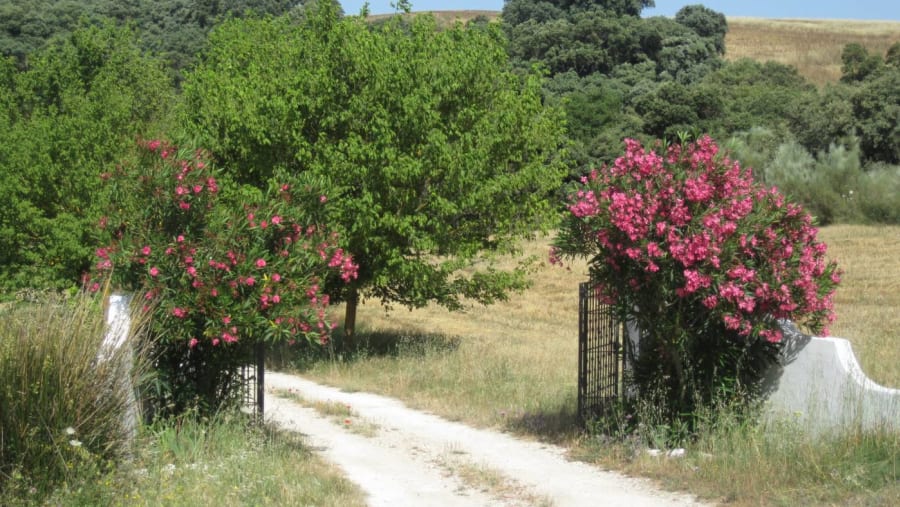 Hiking Area in the South of Spain