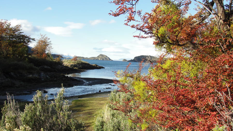 Lapataia Bay (National Park)