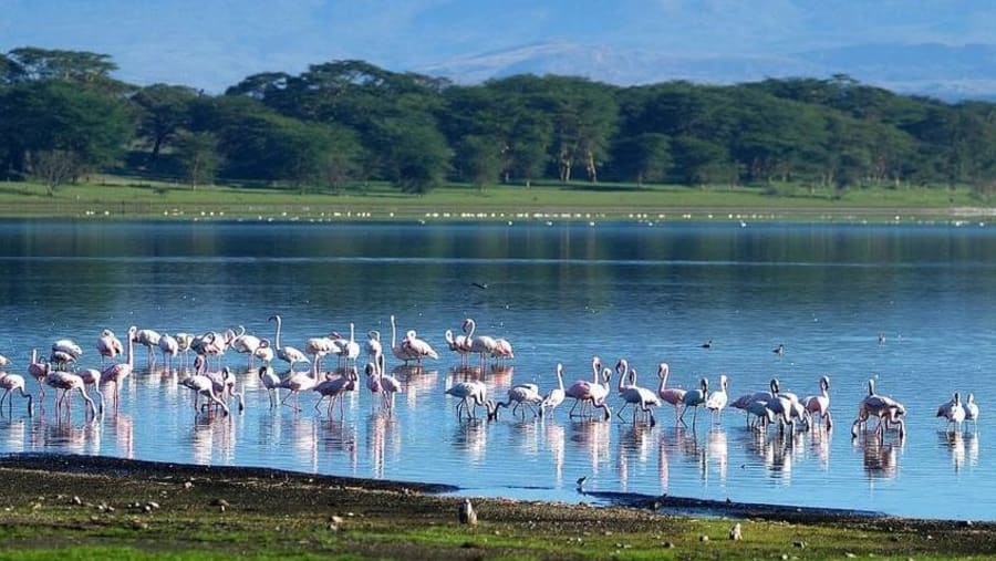 Lake Naivasha