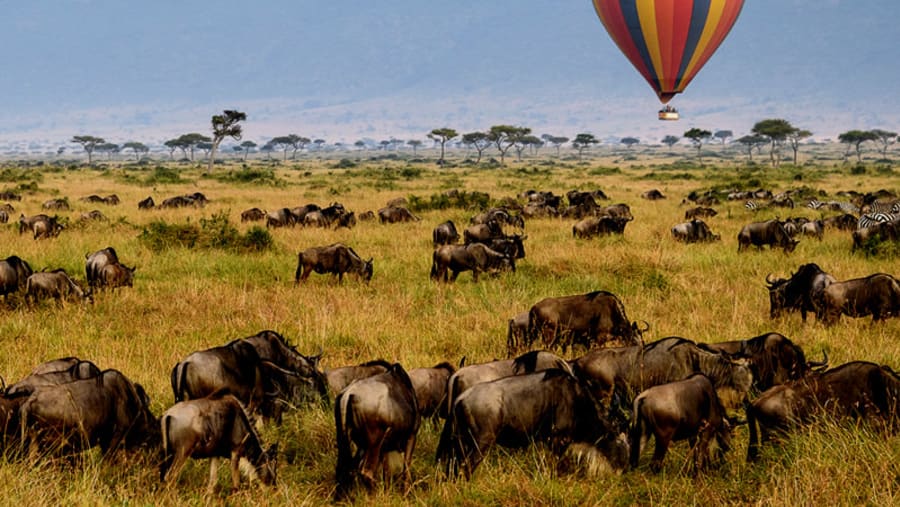 Ride over Serengeti