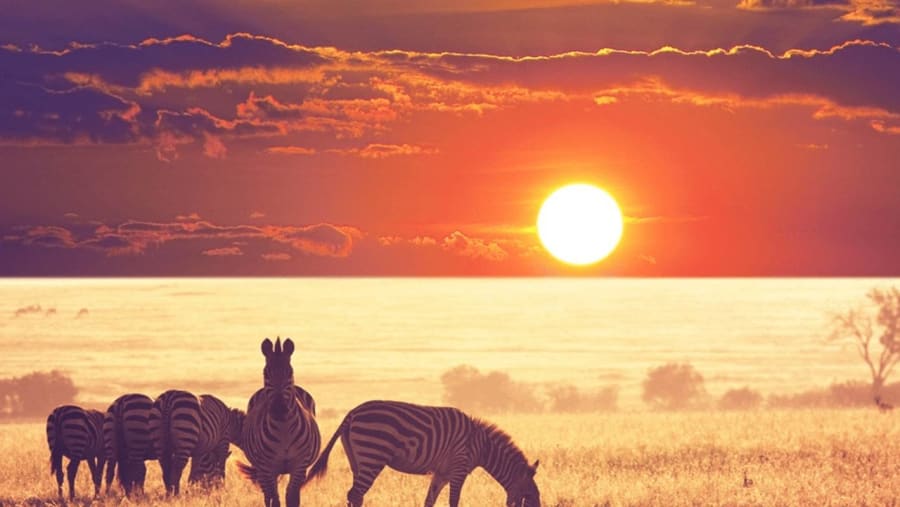 Tarangire National Park