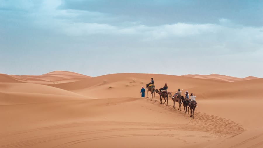 Embark on Camel Trek in the Middle of Desert