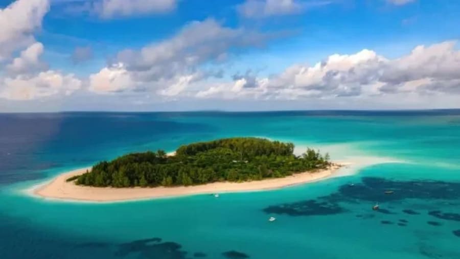 Mnemba Island