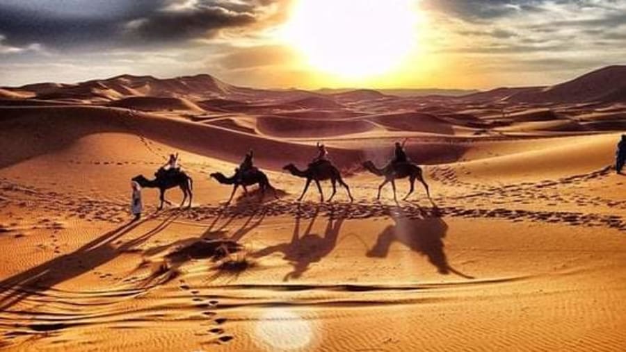 Camel ride