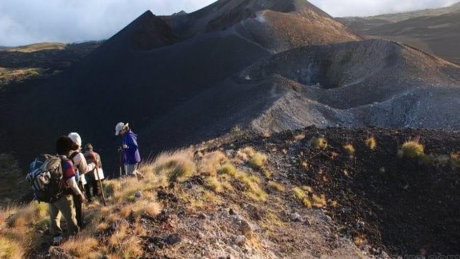 Mount Cameroon Trek