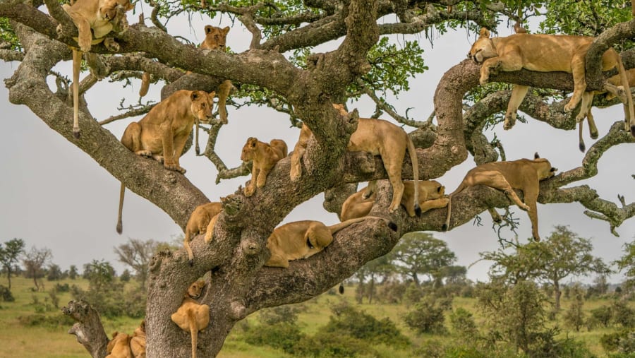 Serengeti National Park