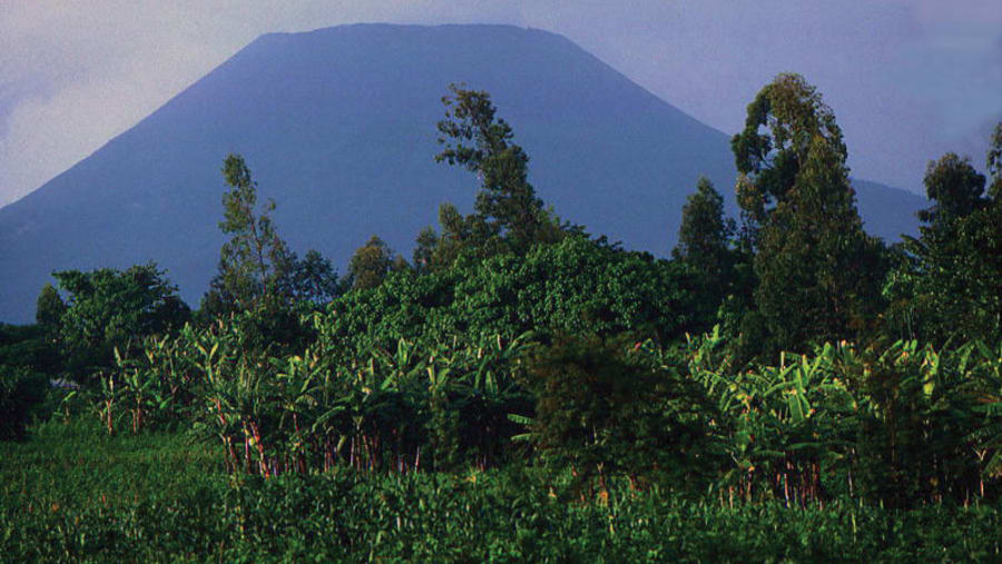 The volcano in the distance