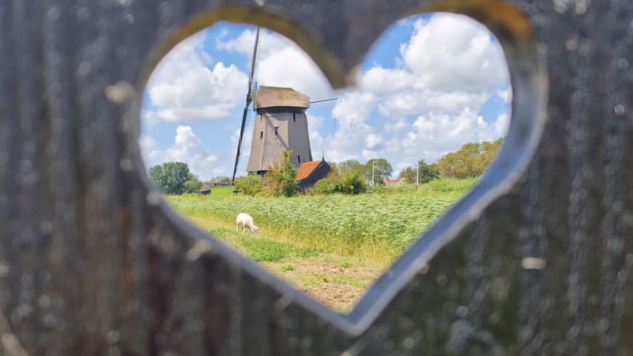 Windmill