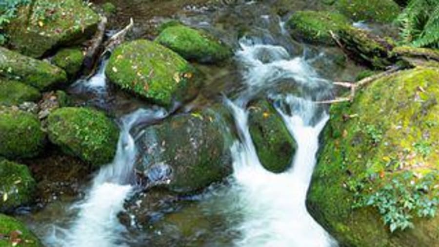 River stream at Sandakphu