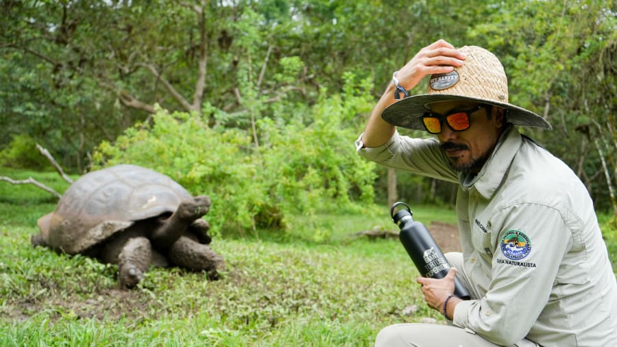 Giant Tortoise