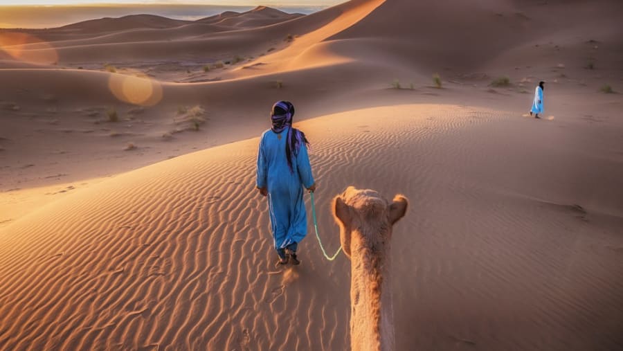 Camel riding in the Moroccan Desert