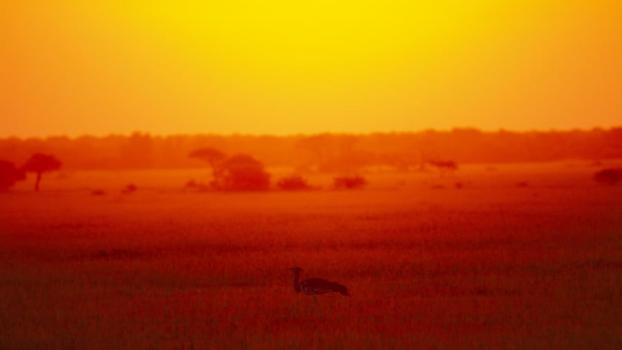 African sunset