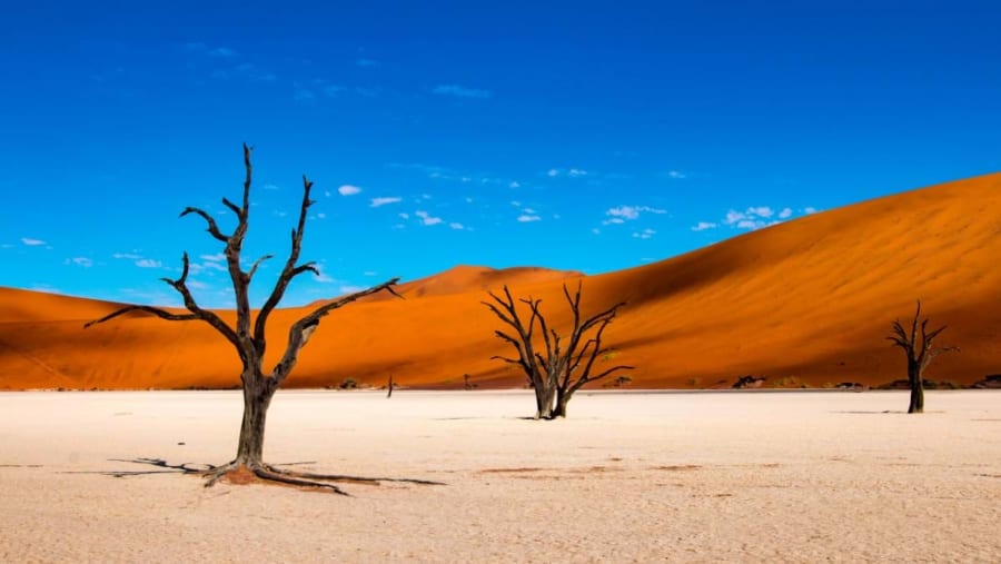 Namib Desert