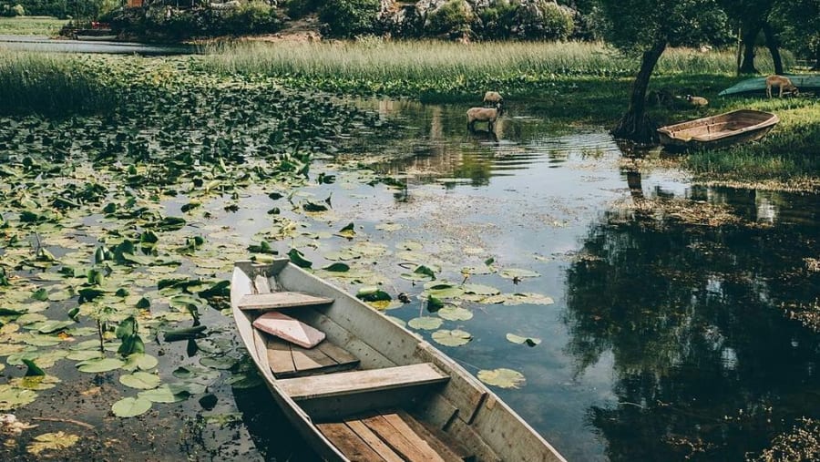 Lake Skadar
