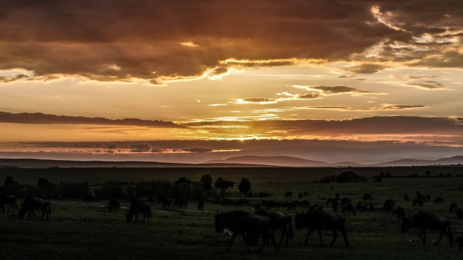 Serengeti National Park