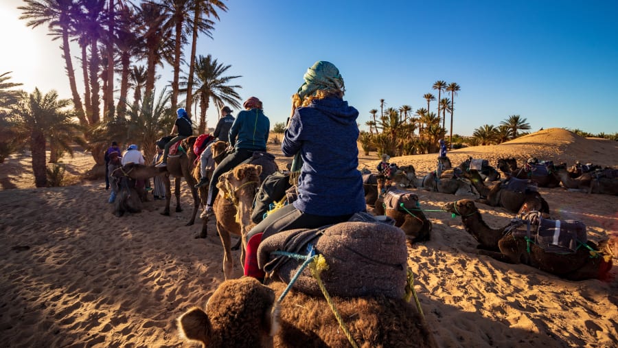 Camel Riding