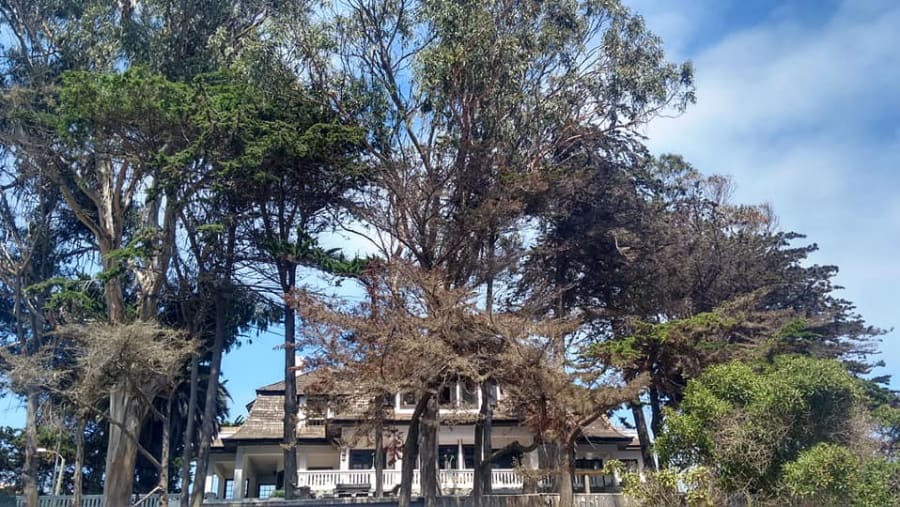 Tour De Navegacion A Los Pinguinos De Humboldt Cachagua Y Zapallar
