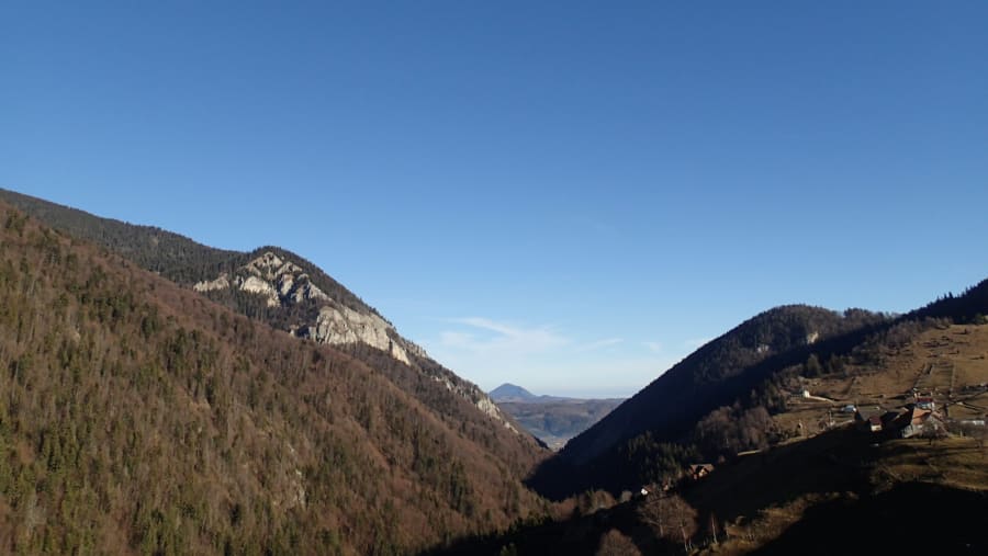Forest and Mountain View from Râ?nov