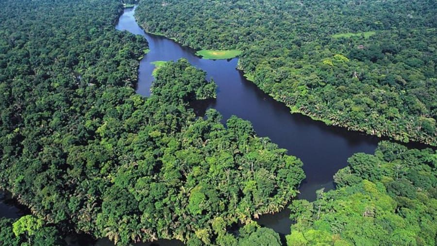 Tortuguero National Park