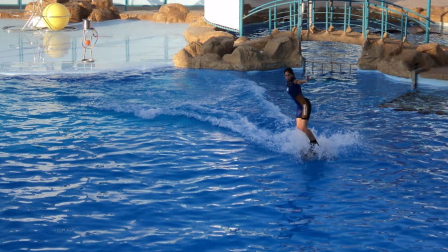 Makadi Bay Dolphinarium