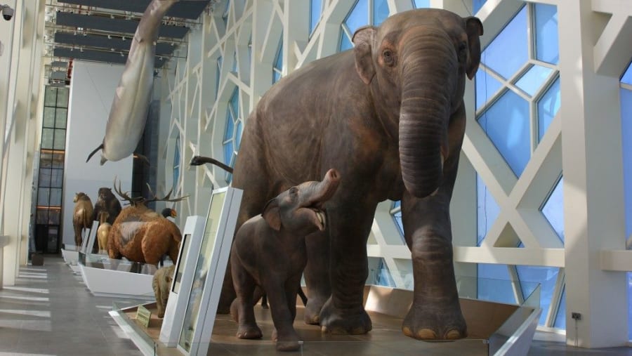 Inside one of the Museums