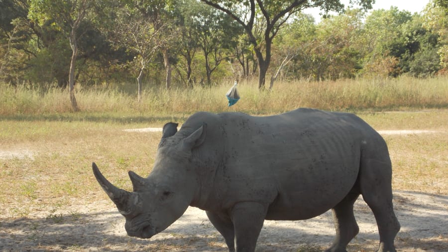 Fathala Safari Park