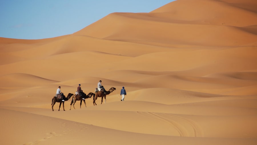 Enjoy camel rides in Erg Chebbi