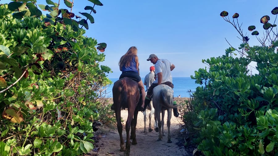 Horseriding