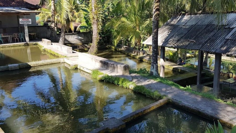 Fishing pond