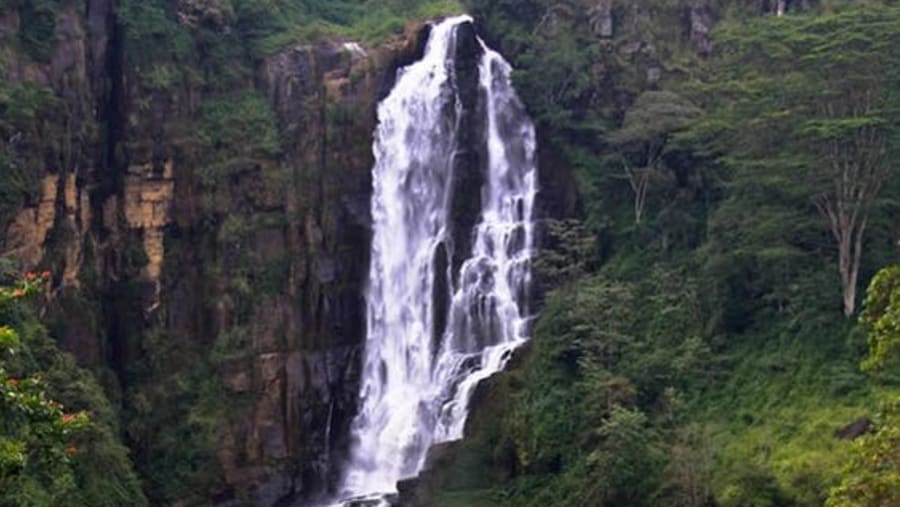 Devon Falls