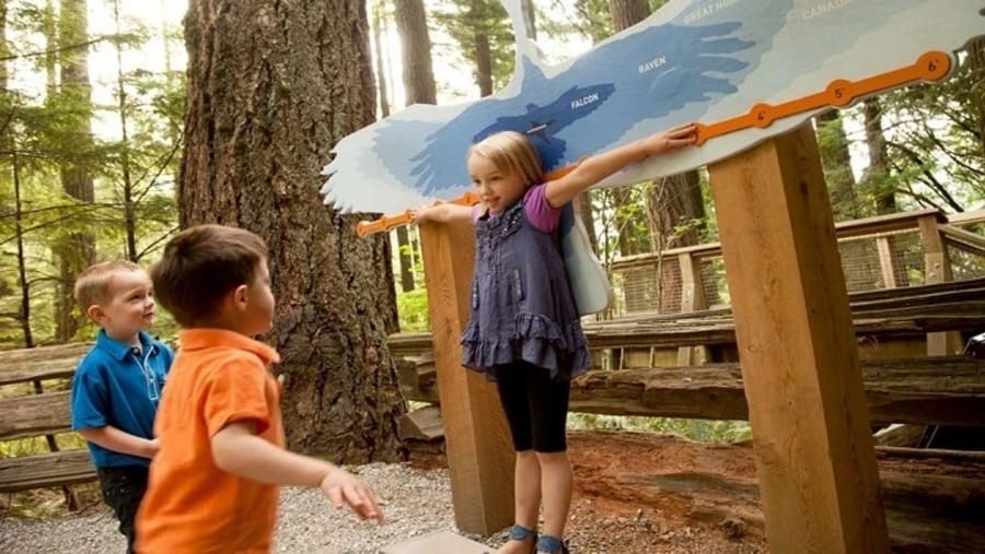 Travellers at the Capilano Treetops Adventures