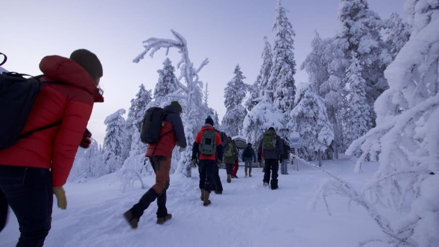 Enjoy hiking through the countryside of Finland in Kuusamo