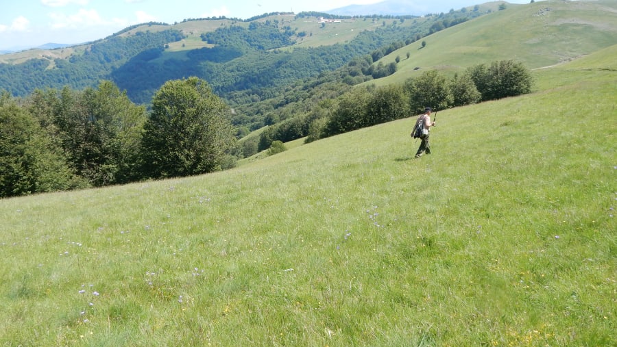 Osogovo Mountains
