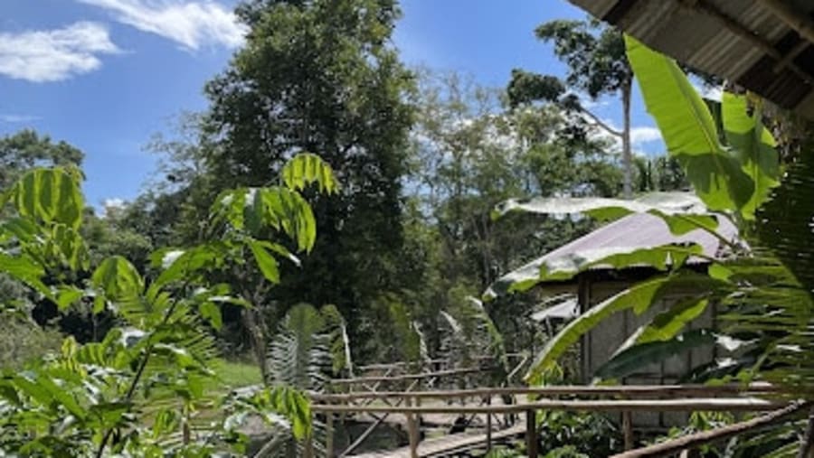 Amazon Adventure