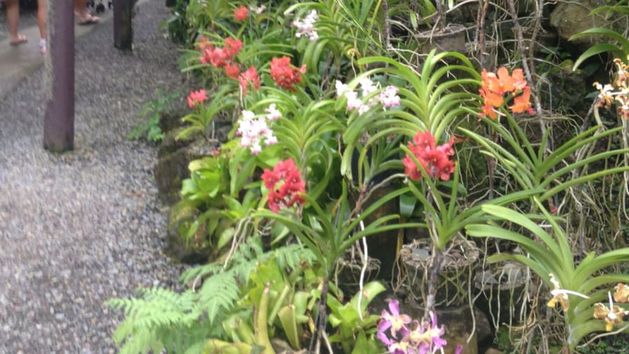 Gardens of Sleeping Giants