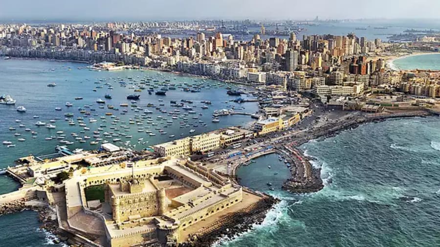 Alexandria City View