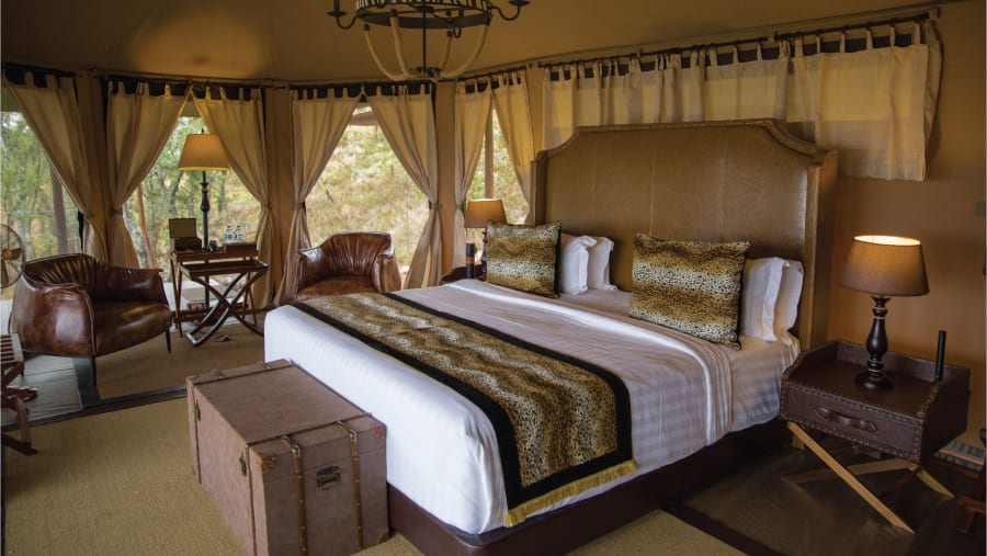 Tanzania Safari & Zanzibar Beach Holiday