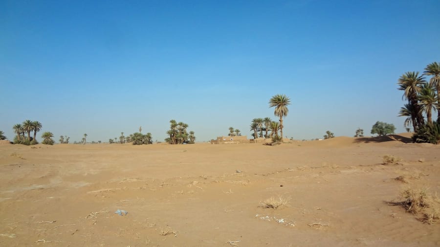 Desert safari in Morocco
