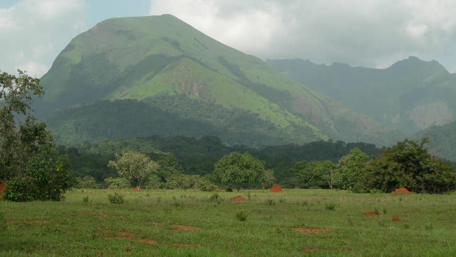 Mount Nimba Strict Nature Reserve