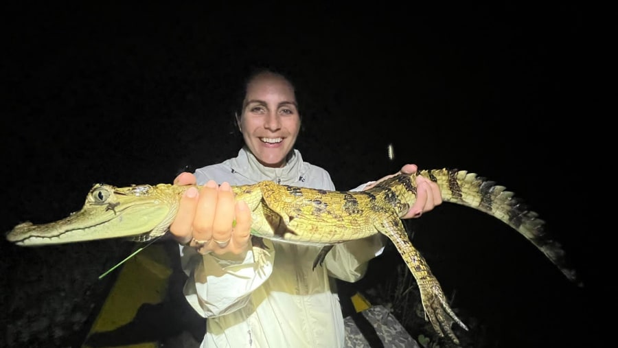 Caiman Huntin