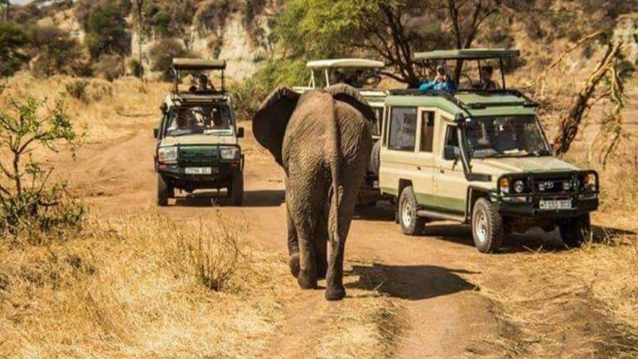 Tarangire National Park