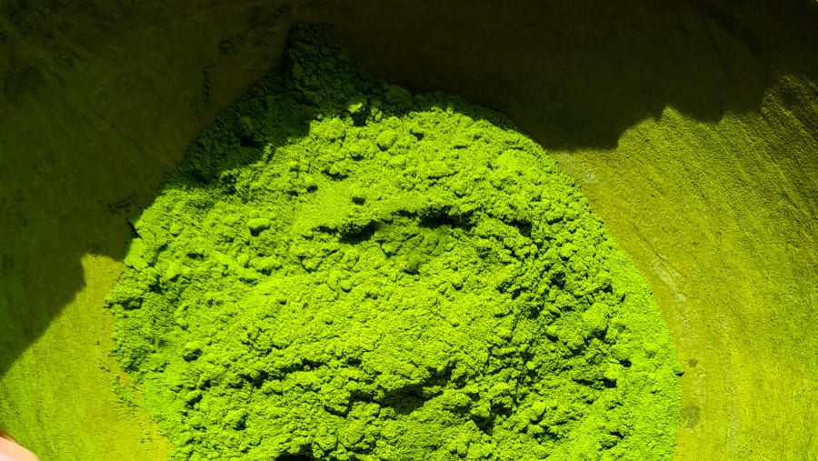 Moringa Powder